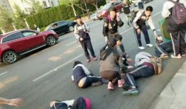 杞县学生车祸最新爆料,悲剧背后真相揭晓