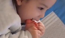 熊孩子爆料视频,视频曝光家庭生活幕后趣事